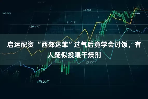 启运配资 “西郊达菲”过气后竟学会讨饭，有人疑似投喂干燥剂