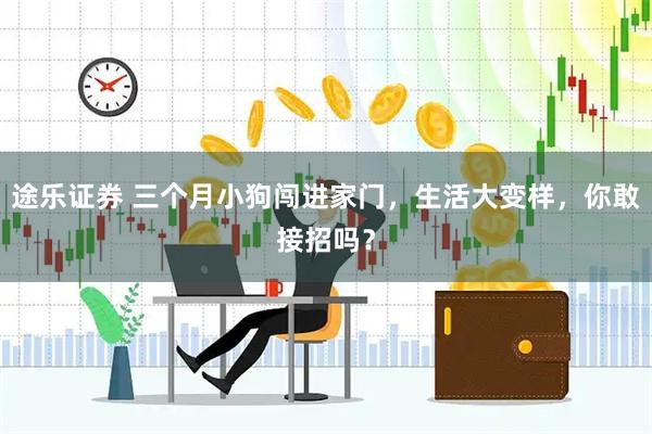 途乐证券 三个月小狗闯进家门，生活大变样，你敢接招吗？