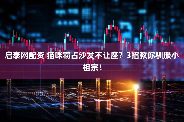 启泰网配资 猫咪霸占沙发不让座？3招教你驯服小祖宗！