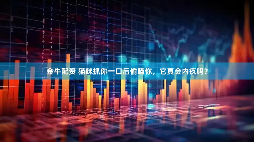 金牛配资 猫咪抓你一口后偷瞄你，它真会内疚吗？