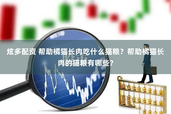炫多配资 帮助橘猫长肉吃什么猫粮？帮助橘猫长肉的猫粮有哪些？