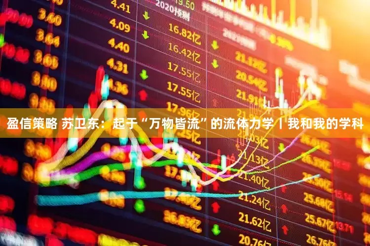 盈信策略 苏卫东：起于“万物皆流”的流体力学丨我和我的学科