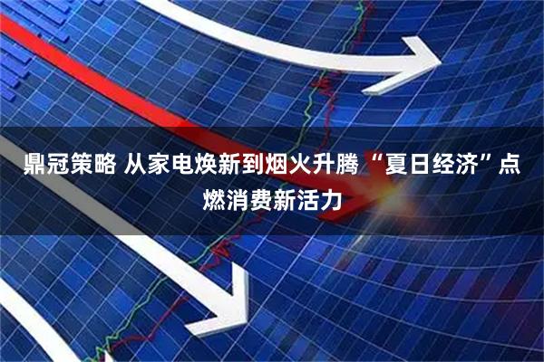 鼎冠策略 从家电焕新到烟火升腾 “夏日经济”点燃消费新活力